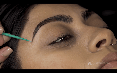 Brow Lamination & Tinting Online Course