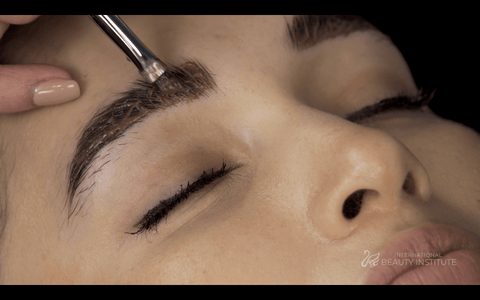 Brow Lamination & Tinting Online Course