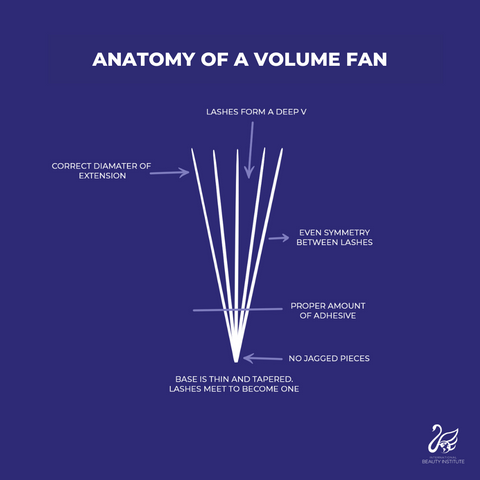illustration of the anatomy of a volume fan